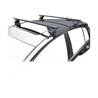 Twinny Load dakdragerset S46 (staal)